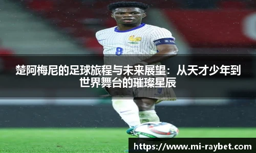 雷竞技官网平台